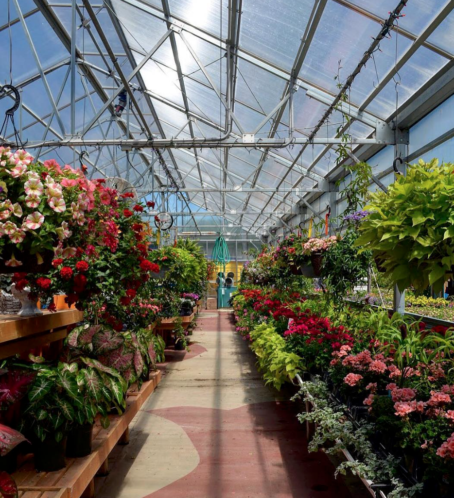 TRIMBLE'S NURSERY