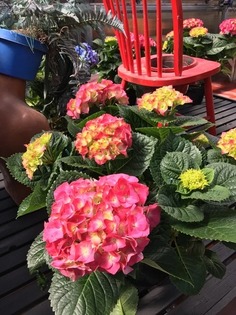 Open for the Season!