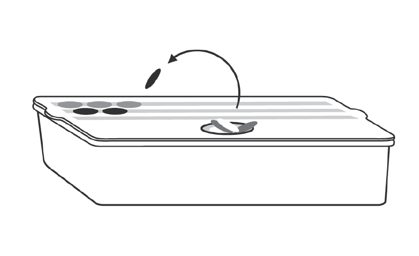 Task 26 - Color Match Sequence — ShoeboxTasks
