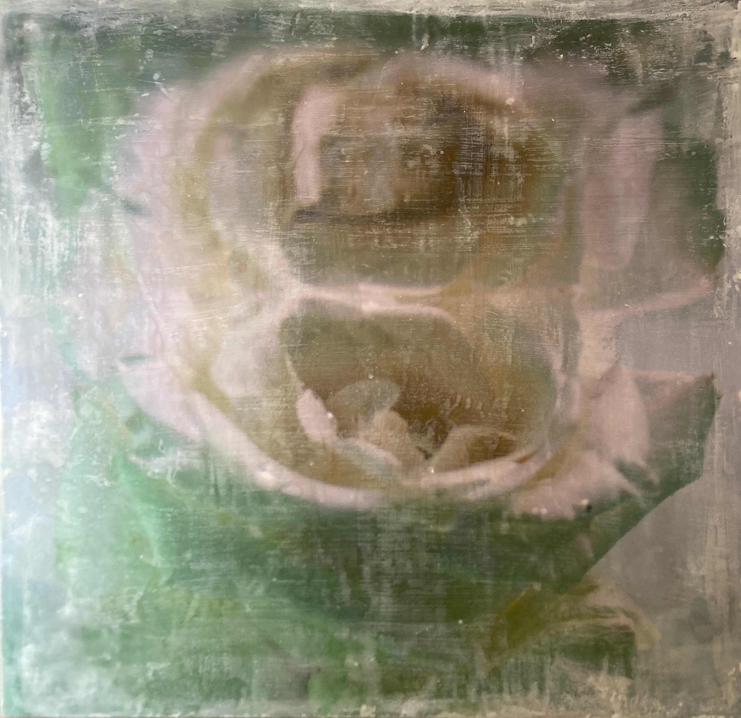 floral rose.jpg