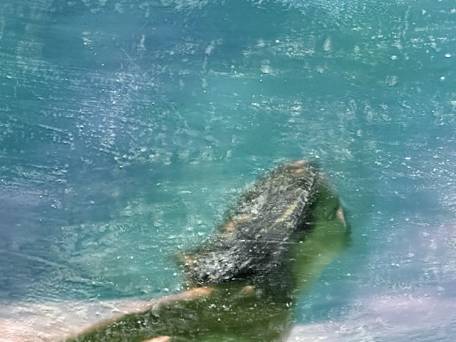 image15.jpeg