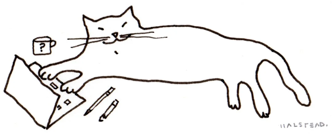 virginiahalstead.com/FAQ/cat-working-on-computer.jpg