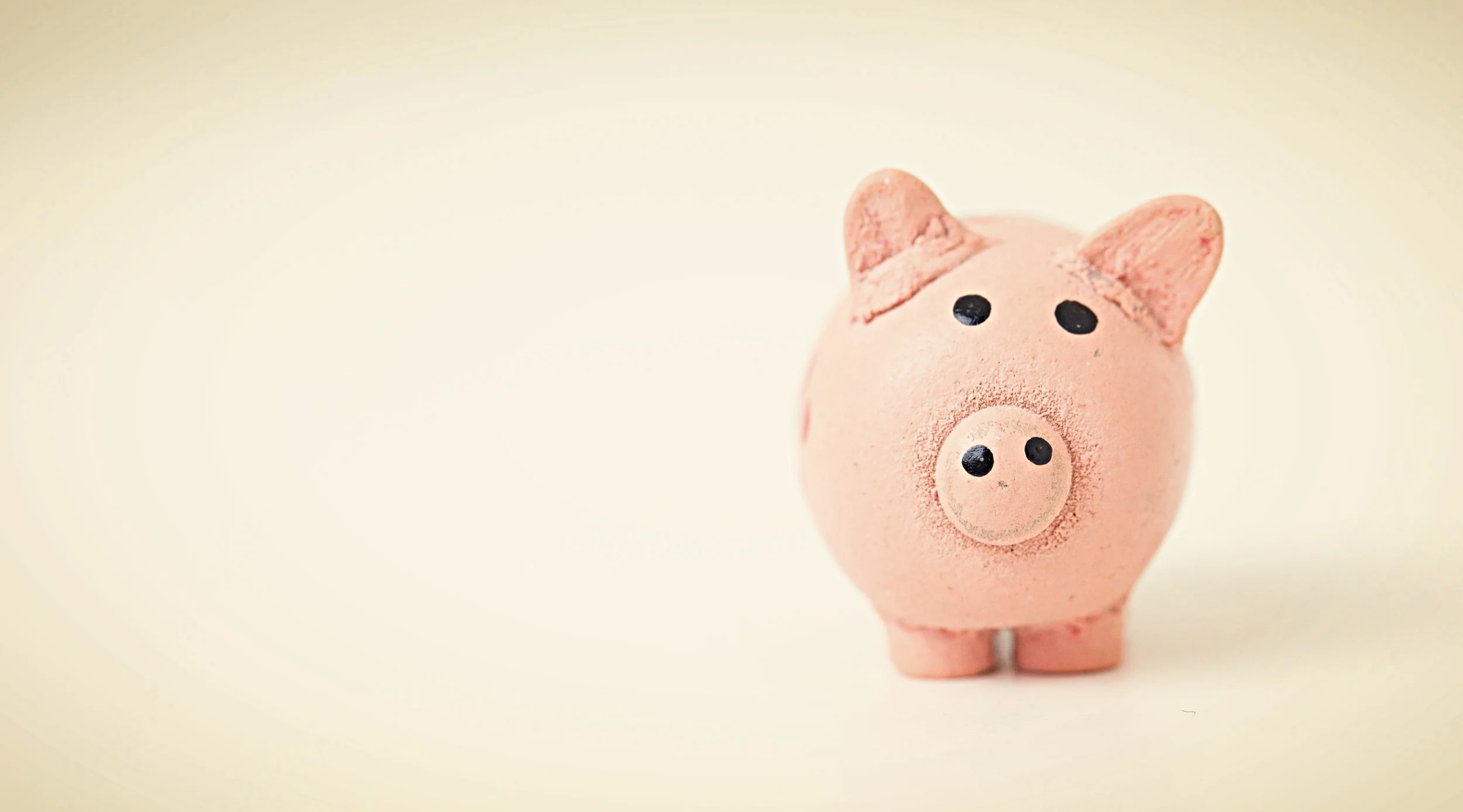 piggy bank