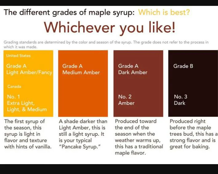 maplesgrades copy.jpg