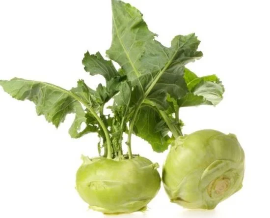 kohlrabi. .50c each.