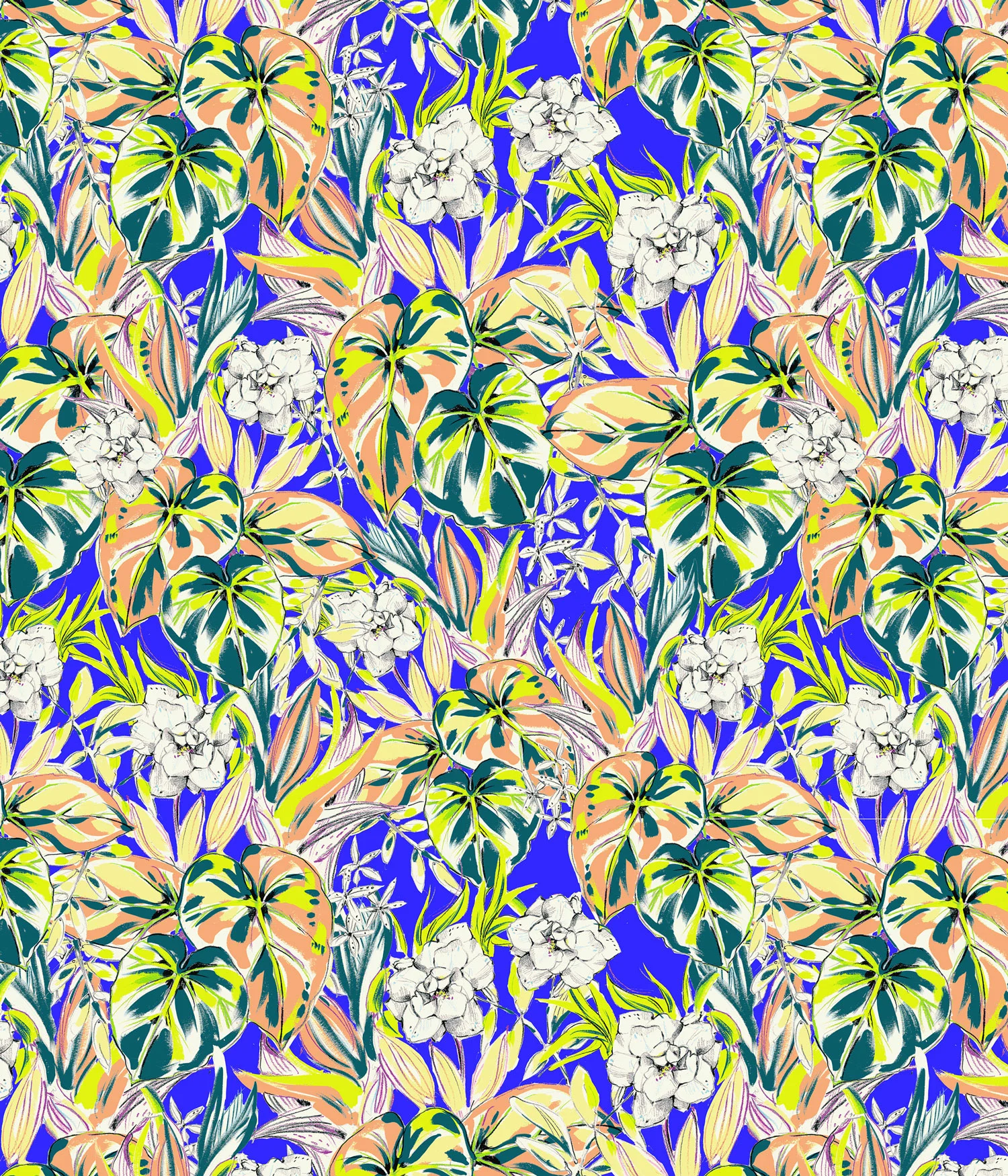 The work of artist Hillary Bott Sorrentino. Fashion. Illustration. Surface design.