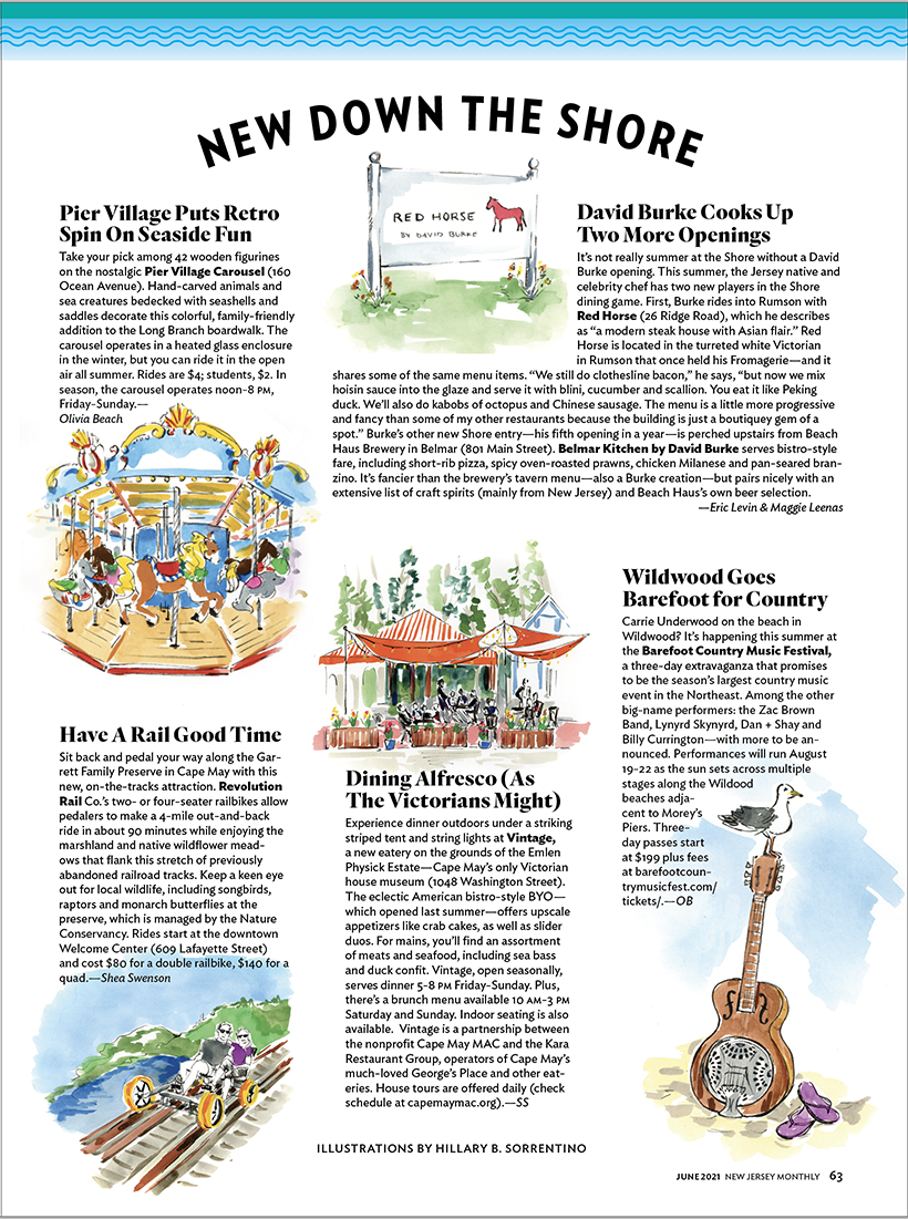 The work of artist Hillary Bott Sorrentino. Fashion. Illustration. Surface design.