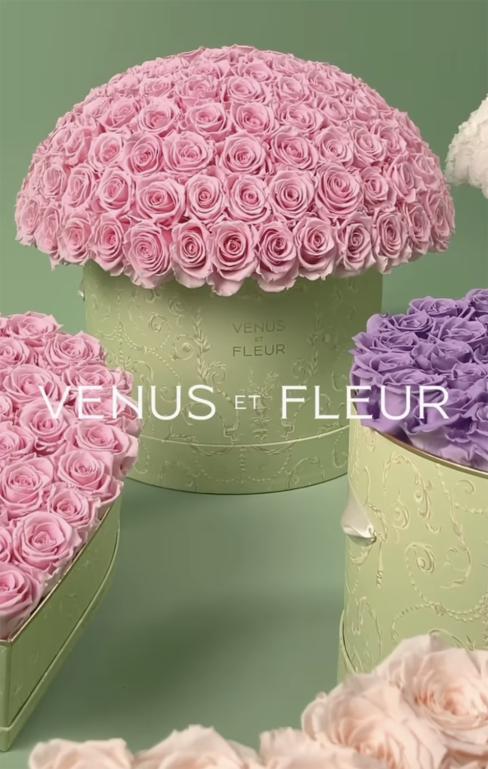 Screenshot 2026-02-13 at 5.14.36 PM.png