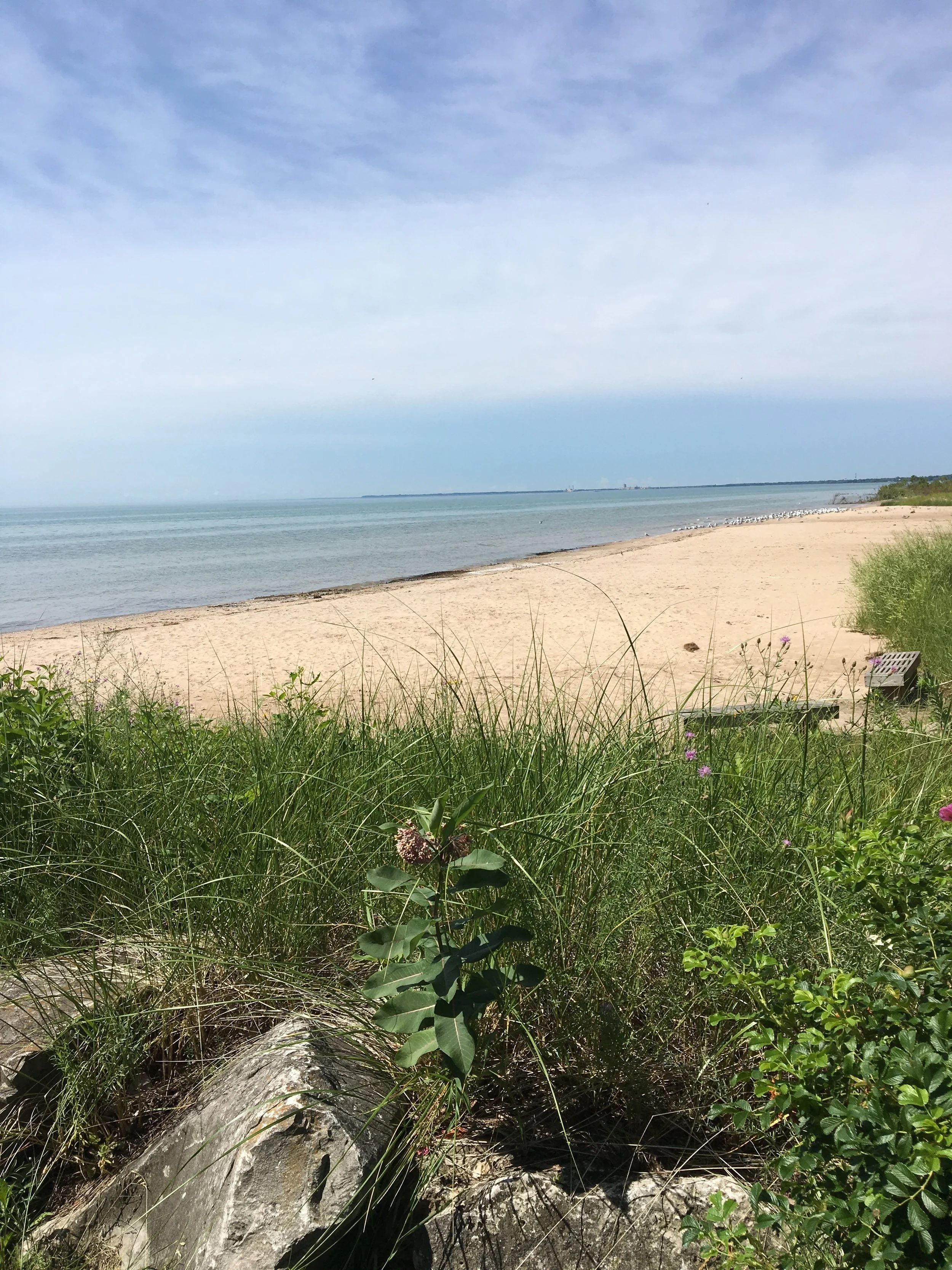 Beach.JPG