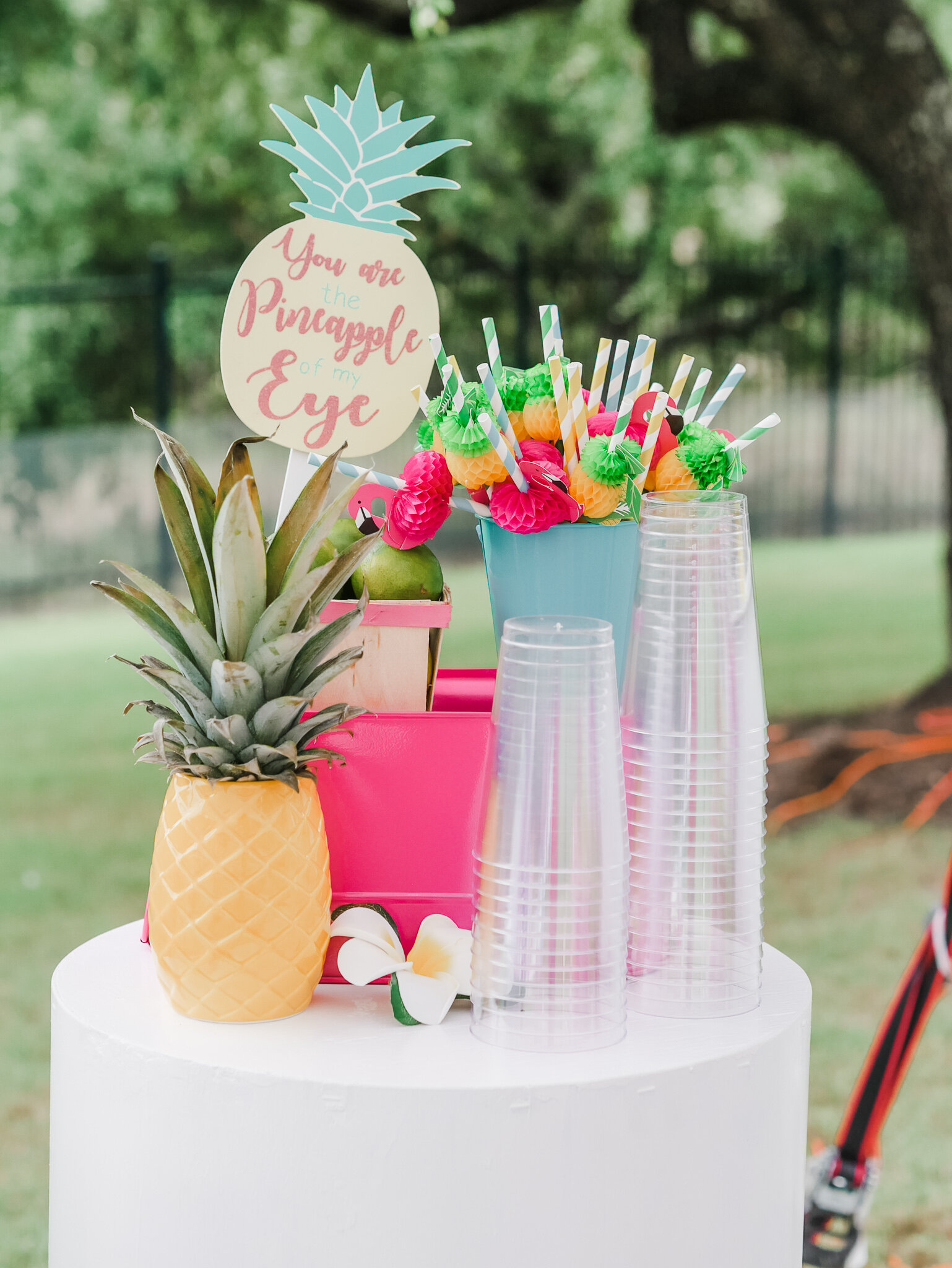  Tropical Birthday Party Drink Station. All the party details can be found on Mint Event Design www.minteventdesign.com 