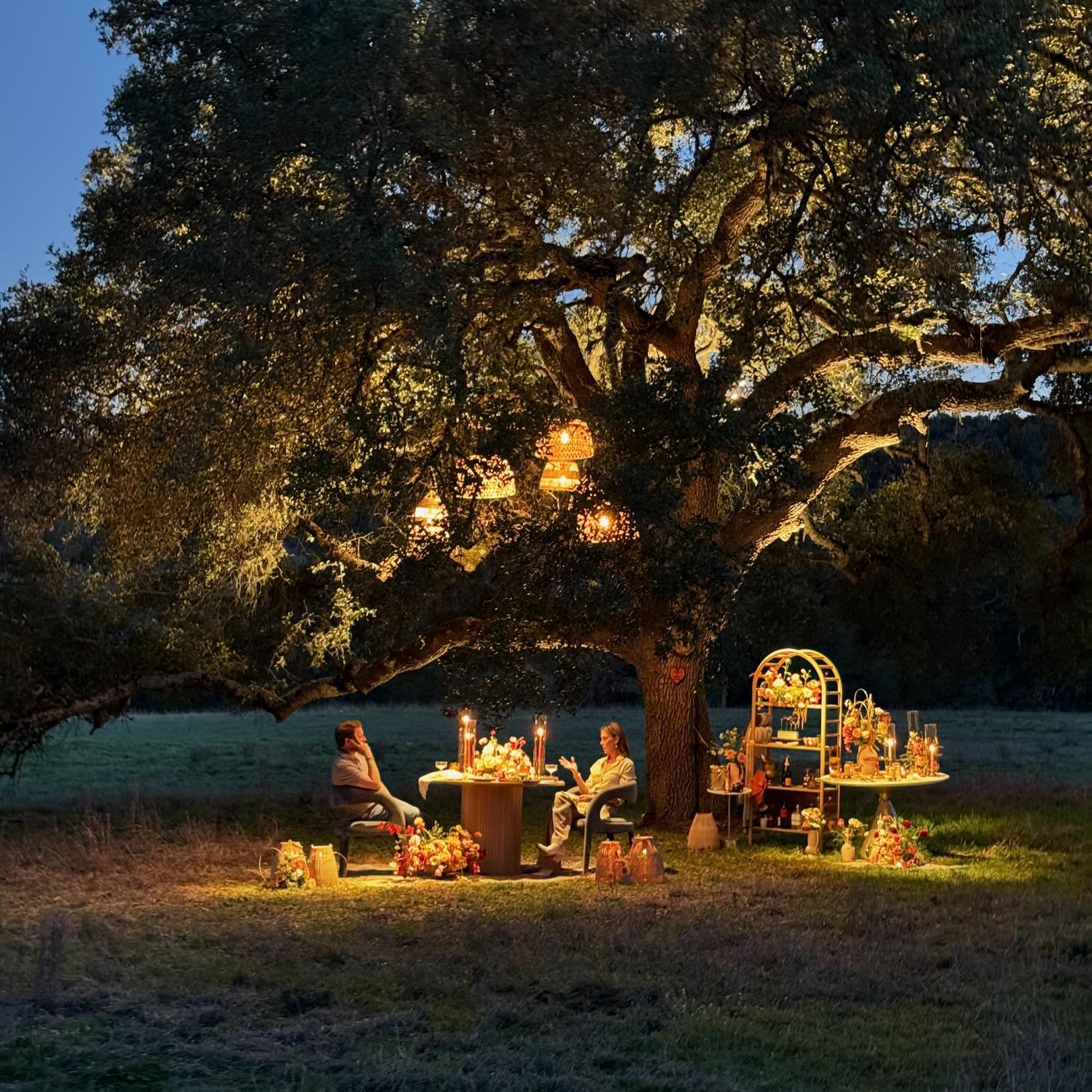 Nothing gets more romantic than this!! Thank you Howard @filoproductionsatx for providing the magic of light! #atxeventplanner #austineventplanner #atxevents #romanticdinner #dinnerfortwo  #undertheoaktree #underthelights