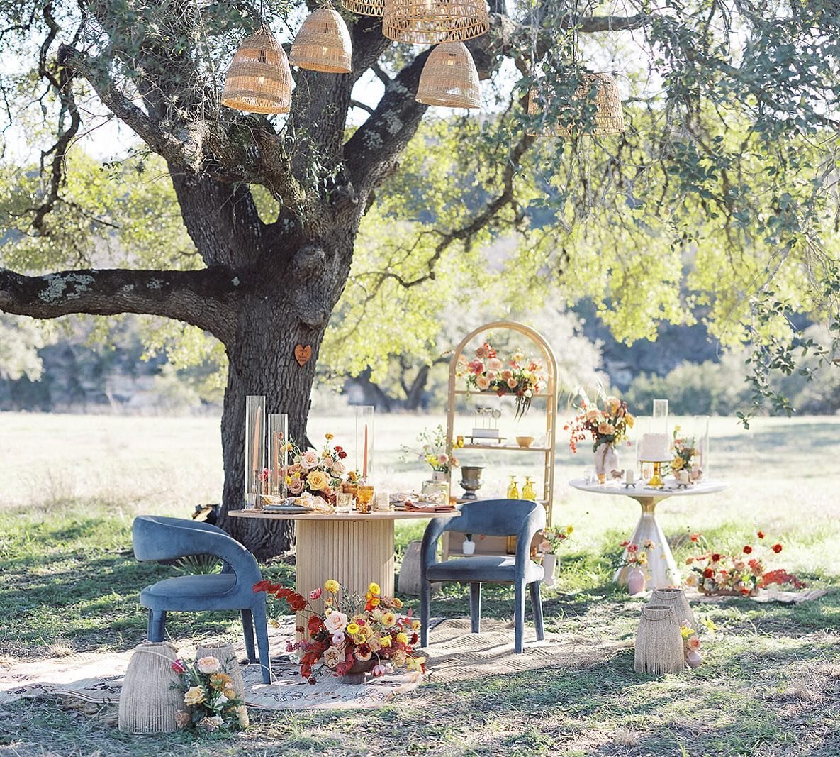 A full daytime view of this stunning and romantic dinner for two! We loved everything about this, so special for sure! Event Planning and design: @minteventdesign
Rentals: @beelavish
Lighting: @filoproductionsatx 
Florals: @nativebloomfloral 
Cake: @