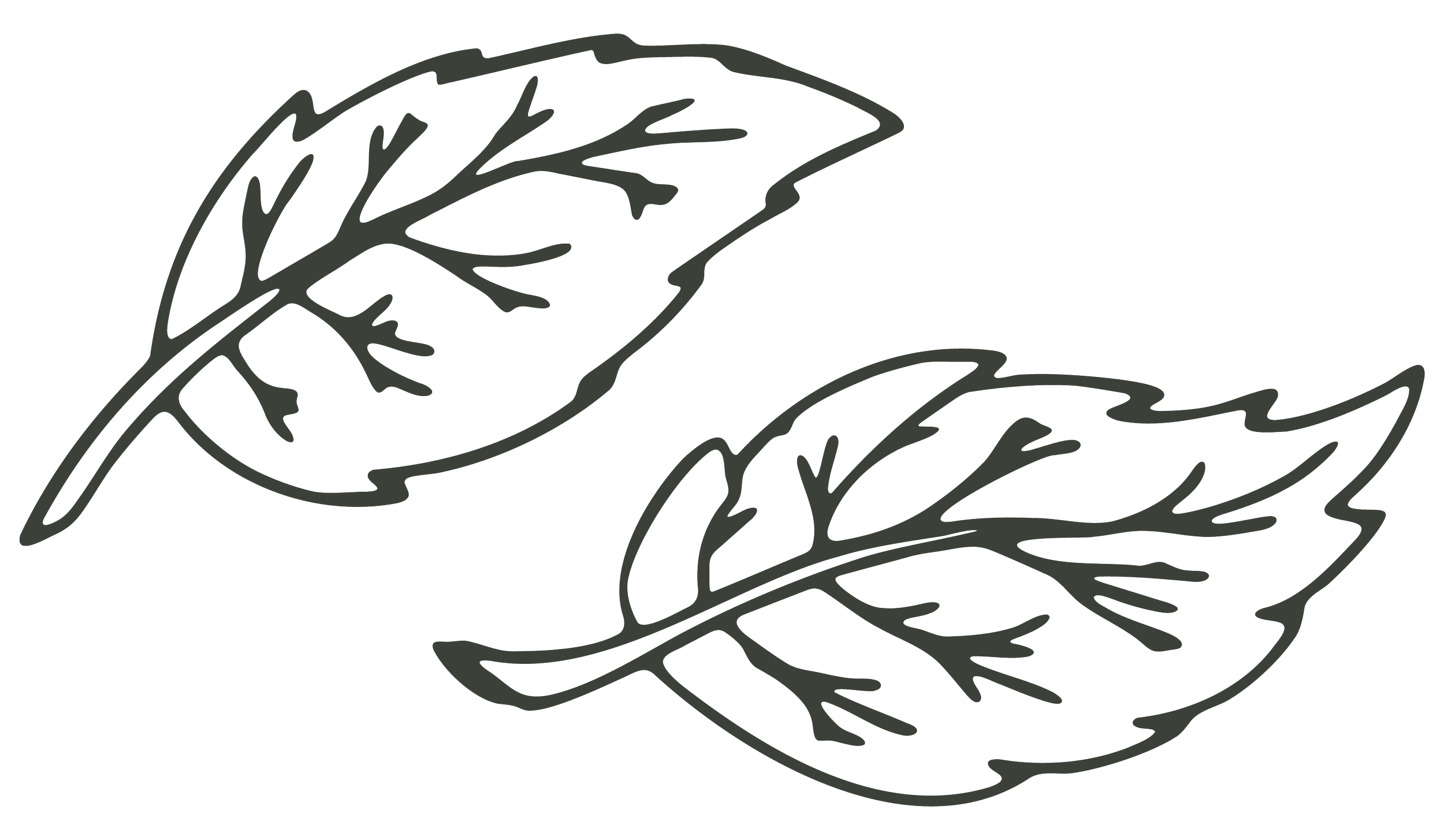 Hand-drawn leaf illustration on the Mint Events event planning blog