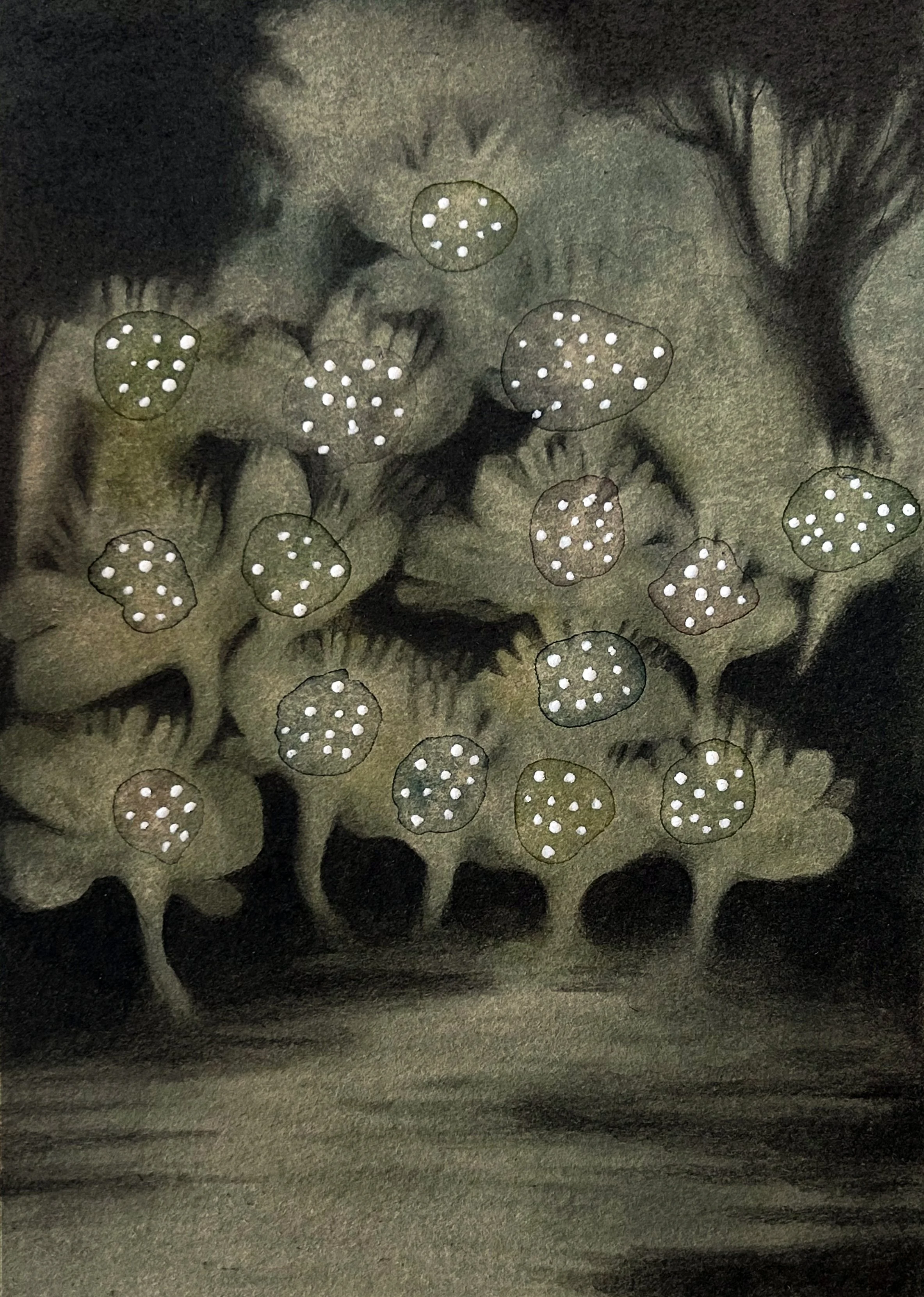 It Wasn't a Dream cropped.jpg