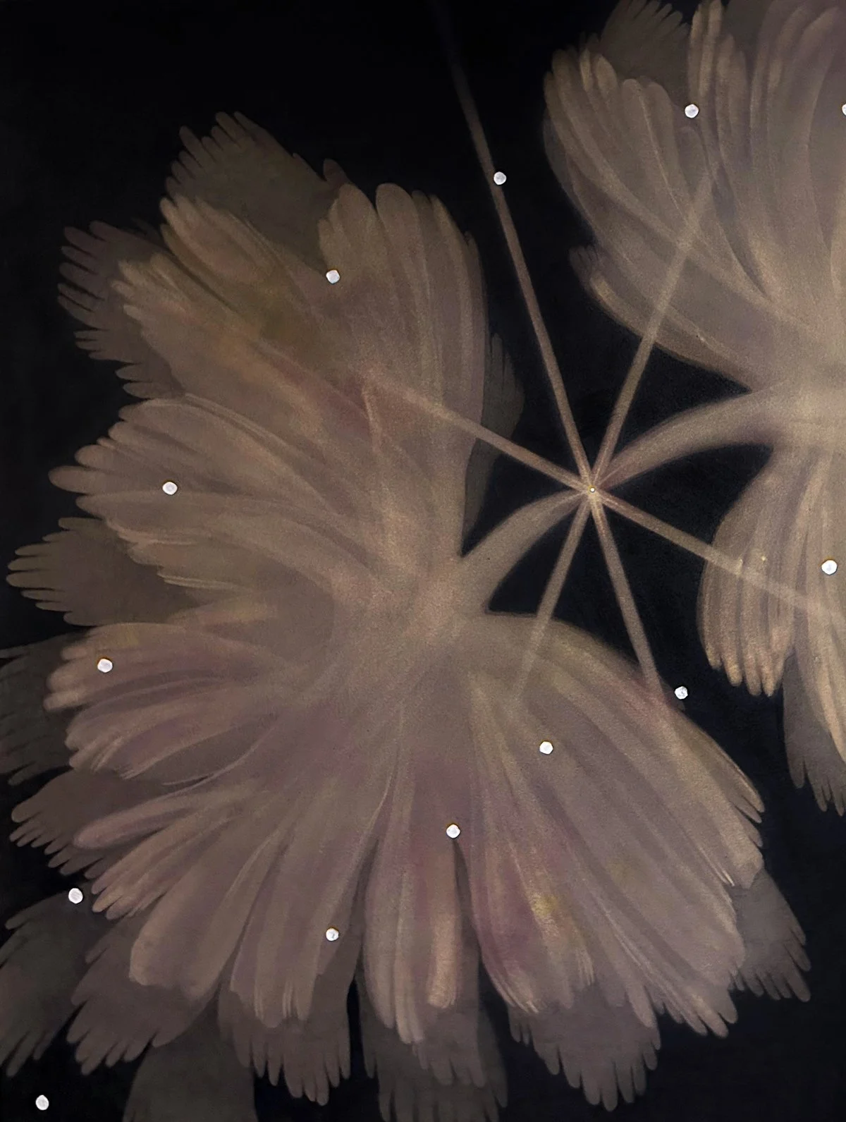 Terra Keck_Blossoming Starship_2024_Eraser Drawing_30x40.jpg