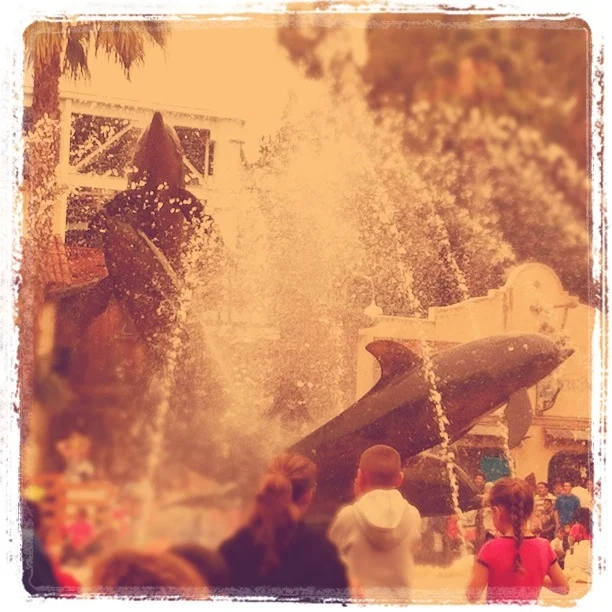 Korie's Iphone photos 699.JPG