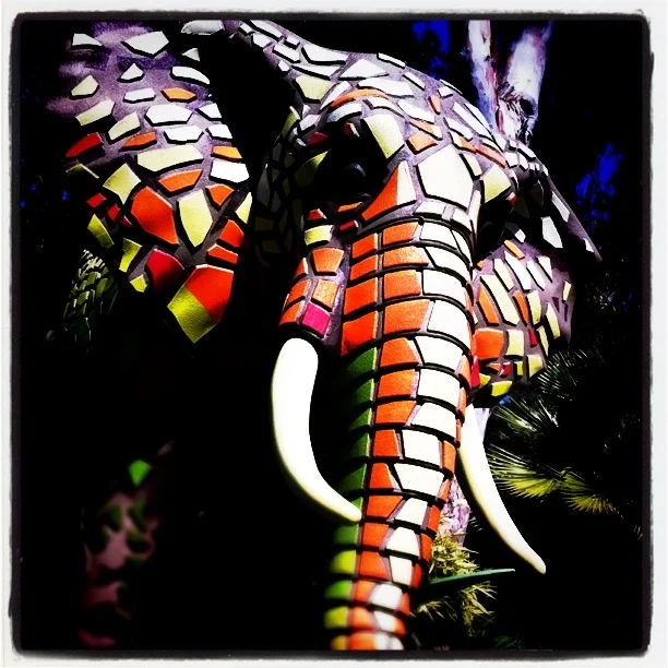 Korie's Iphone photos 719.JPG