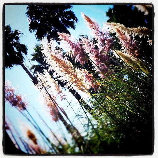 Korie's Iphone photos 726.JPG