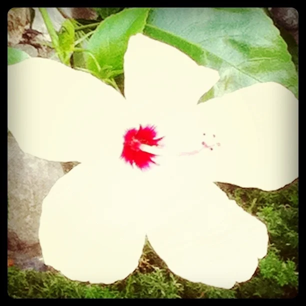 Korie's Iphone photos 855.JPG