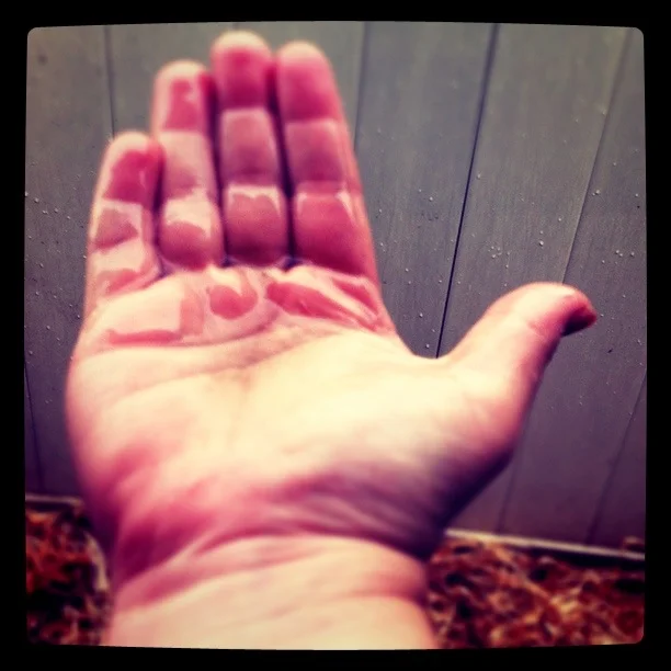 Korie's Iphone photos 861.JPG