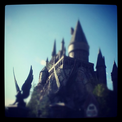 Korie's Iphone photos 1128.JPG