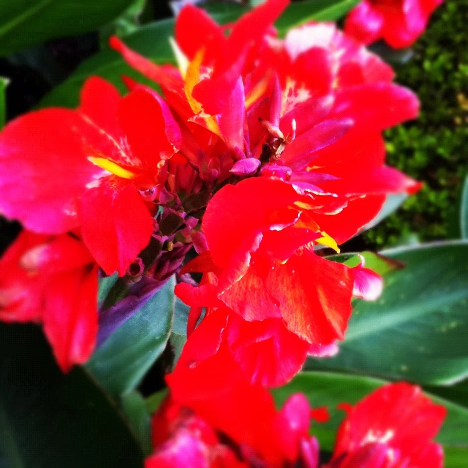 Korie's Iphone photos 1224.JPG