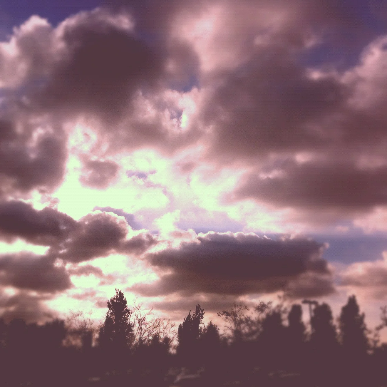 Korie's Iphone photos 1325.JPG