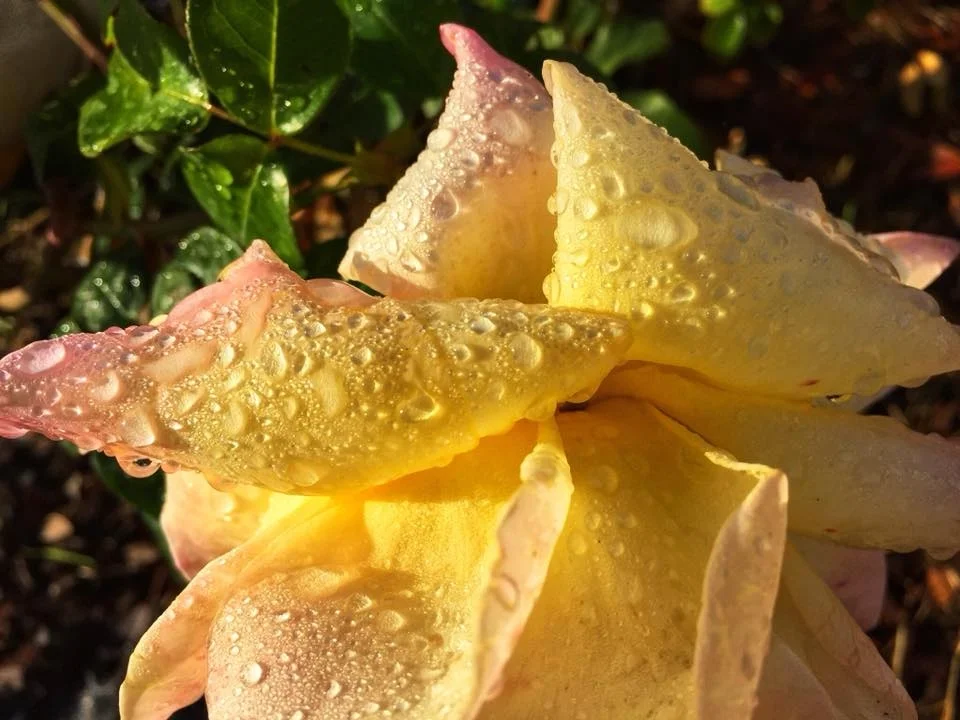 Week 2- Rule of Thirds