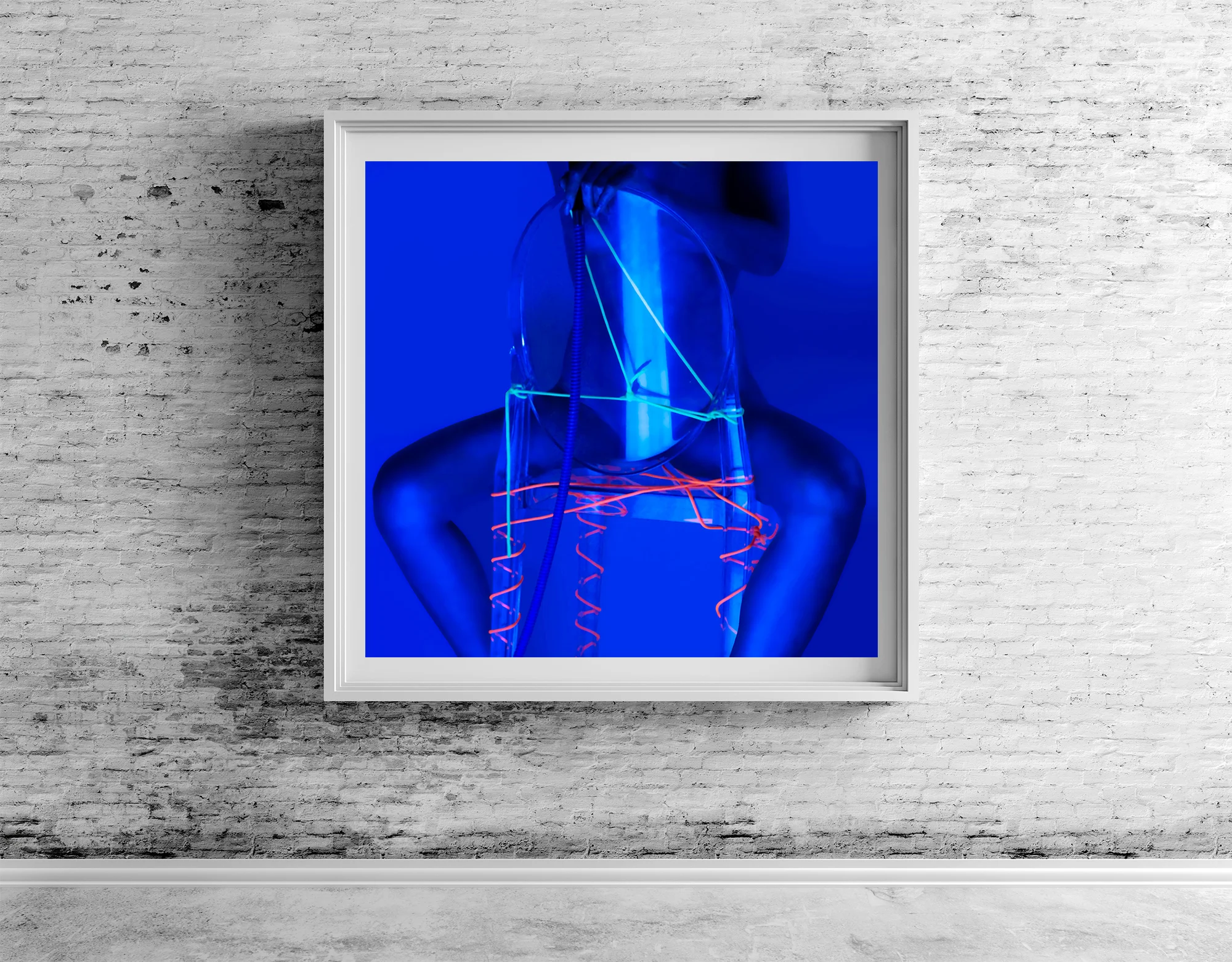 adobestockminxframe.jpg