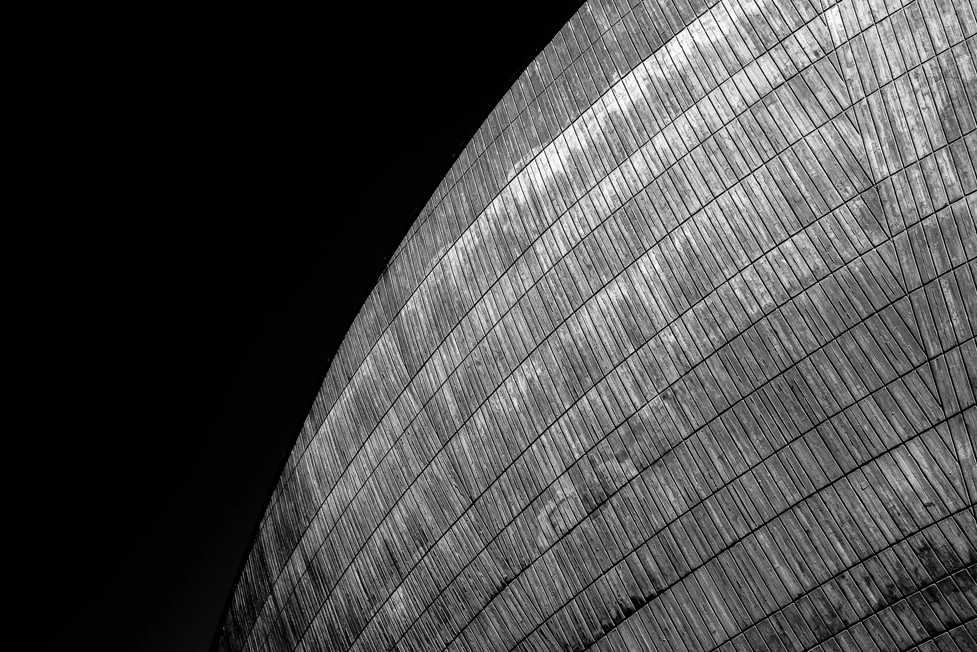 DSC_0125s.jpg