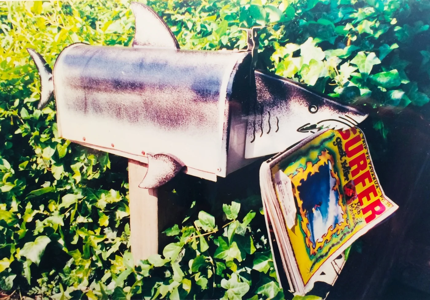 Bite before reading – Berkeley.