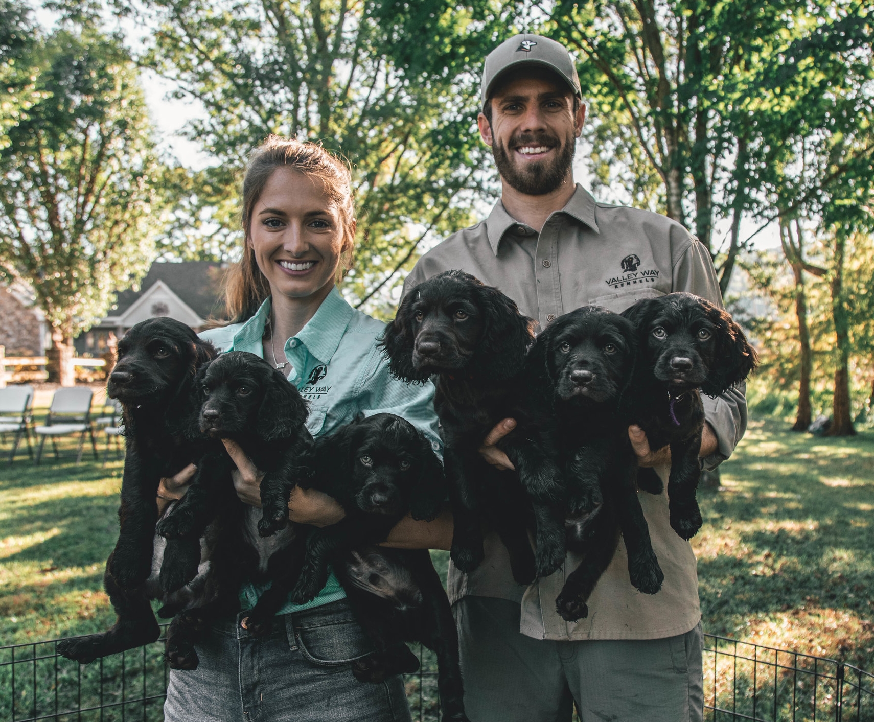 boykin spaniel for sale