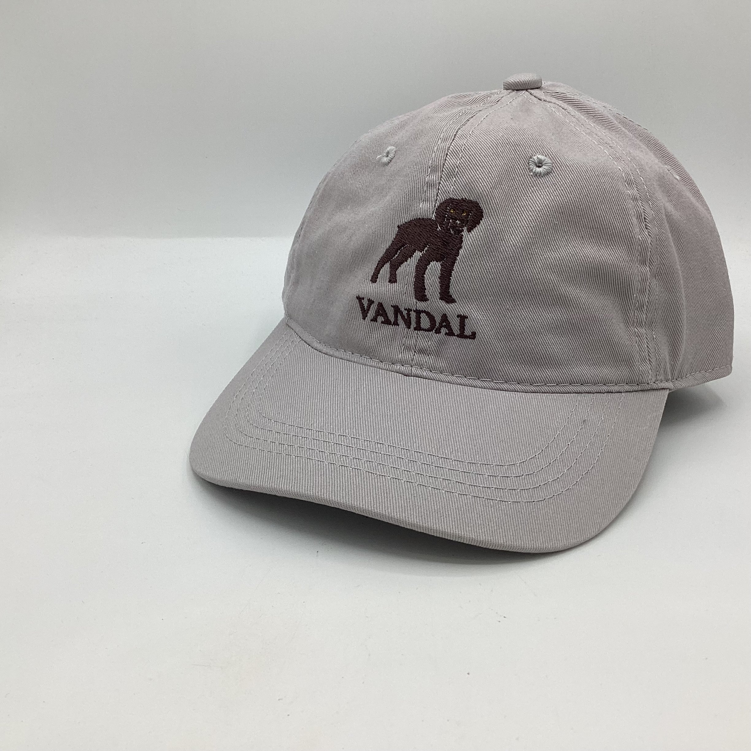 Vandal Ball Cap Front.jpeg