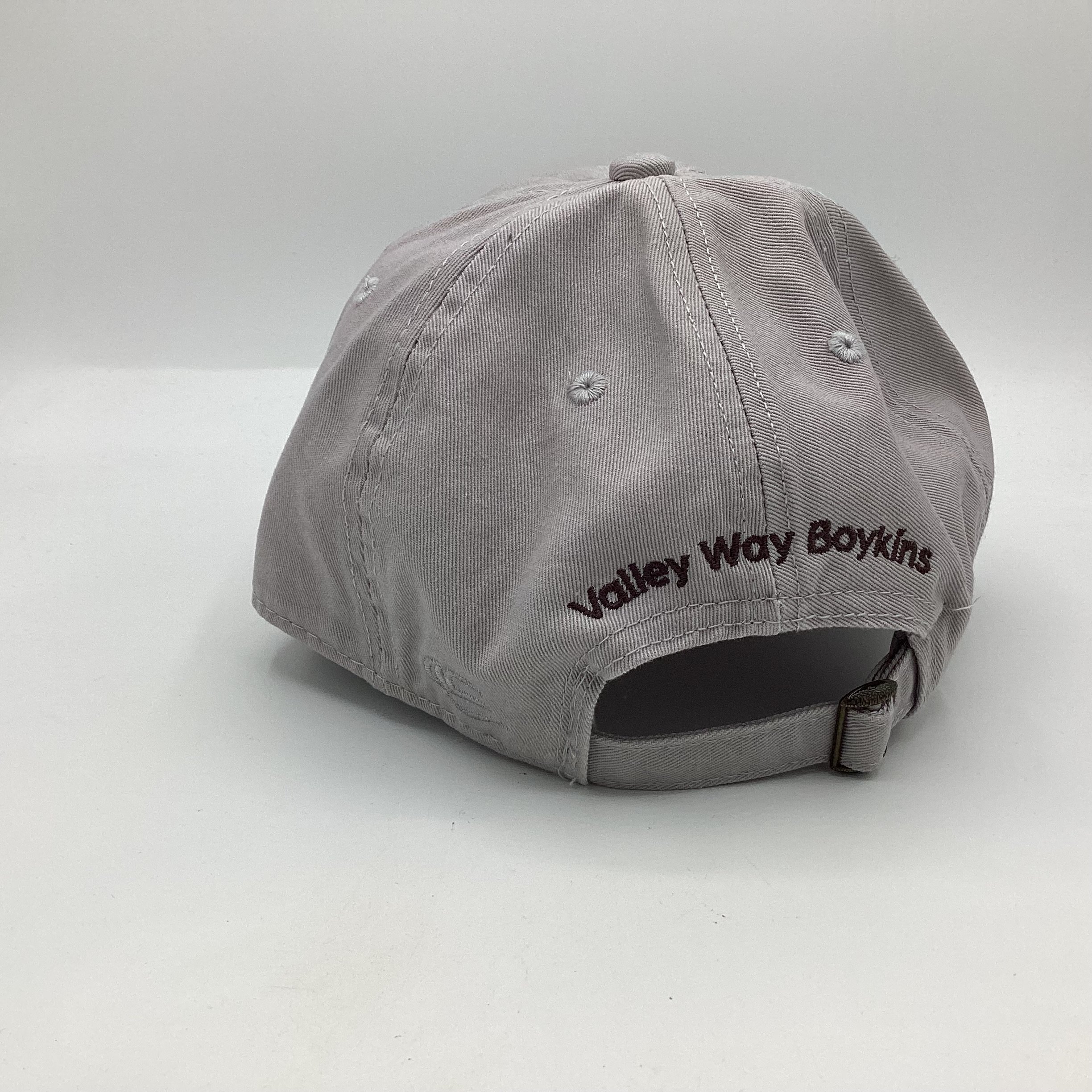 Vandal Ball Cap Back.jpeg