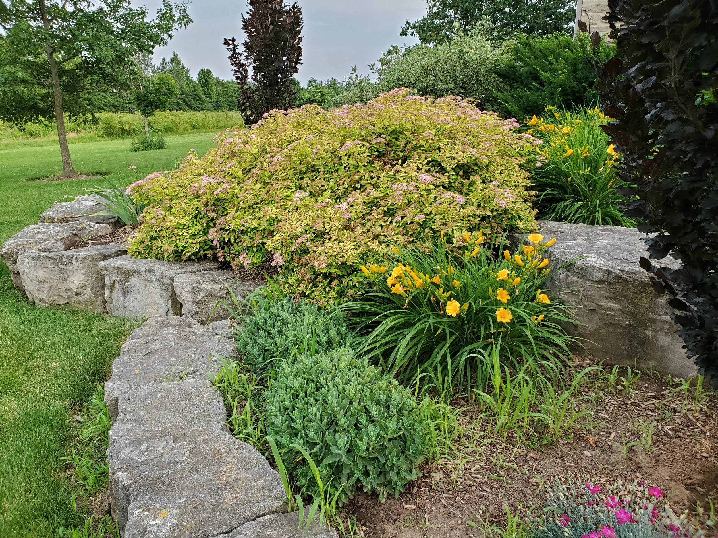 20240620_201527.jpg