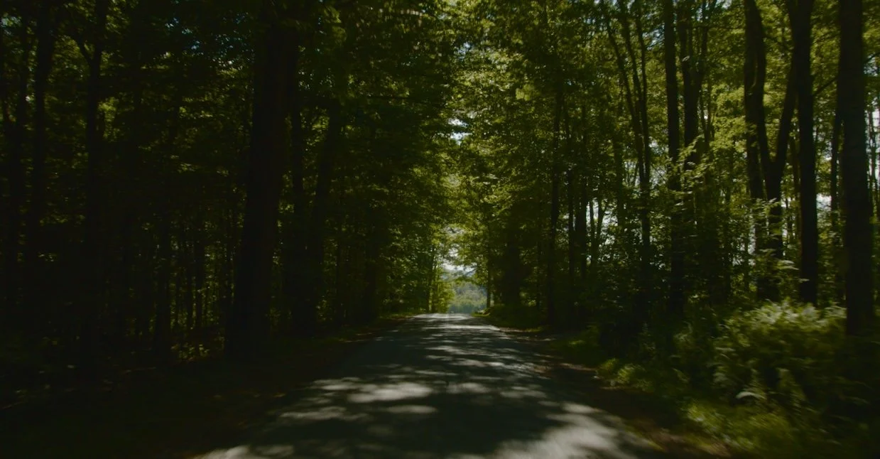 Screen Shot 2022-07-30 at 11.56.41 PM.jpg