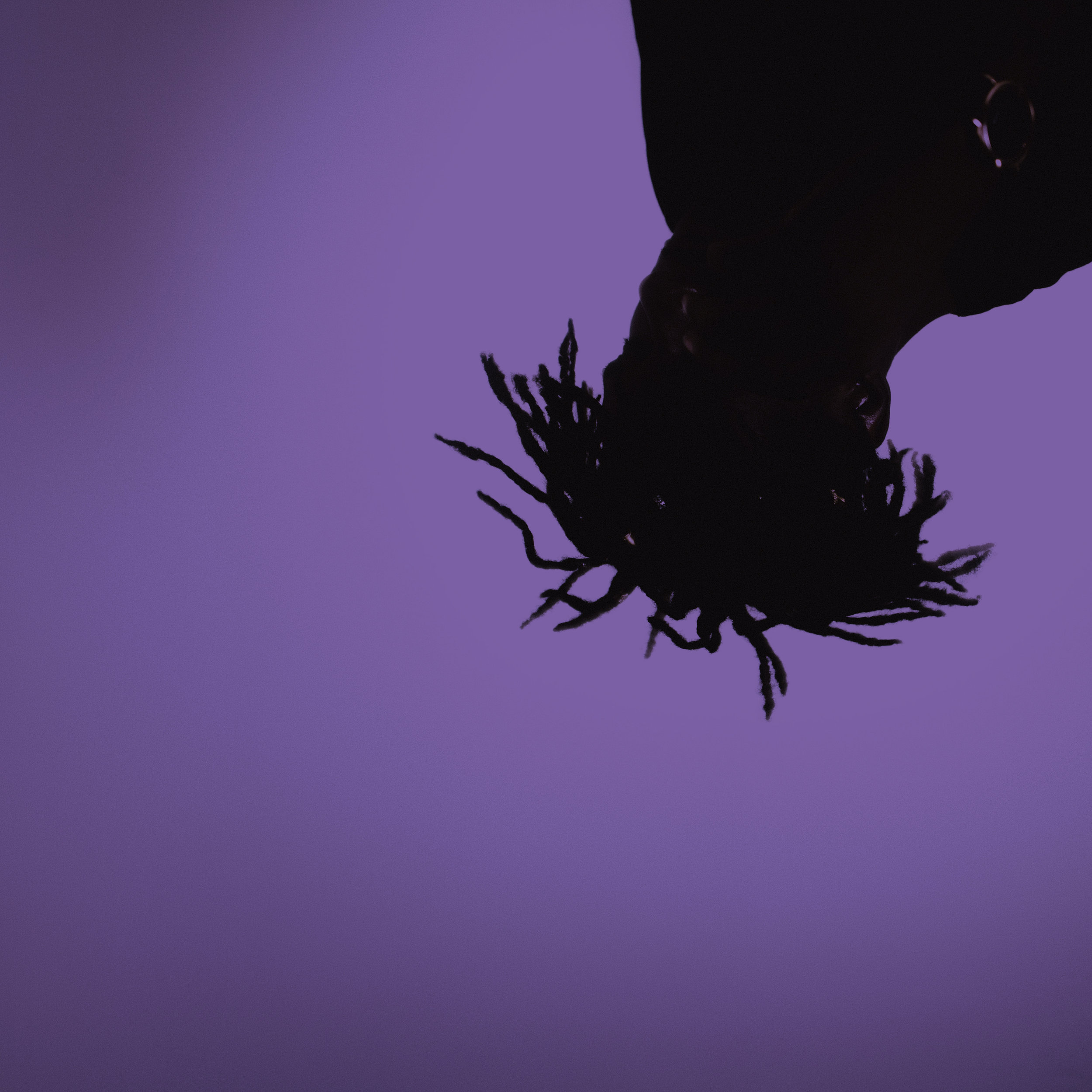 LB_Purp.jpg