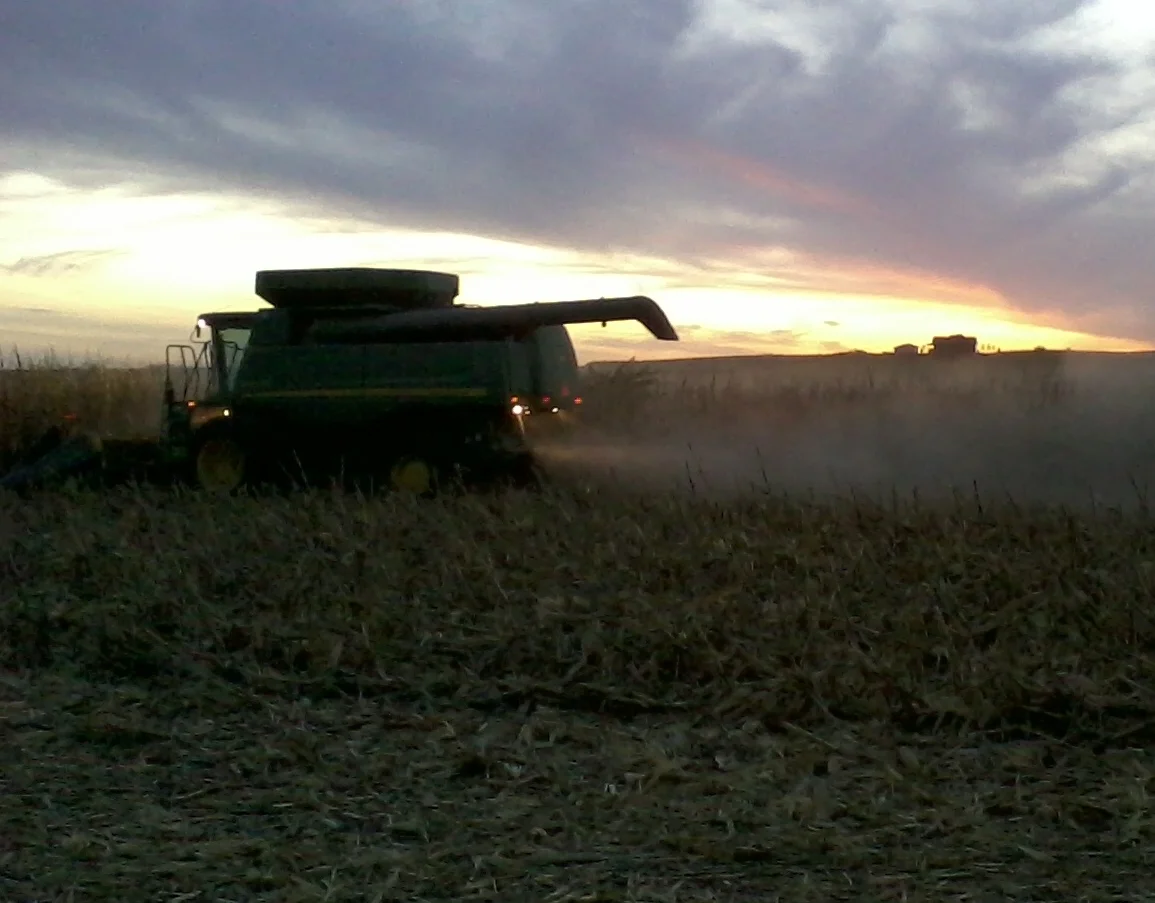 Wall Street Journal Paints a Narrative, Misses the Real Story. 