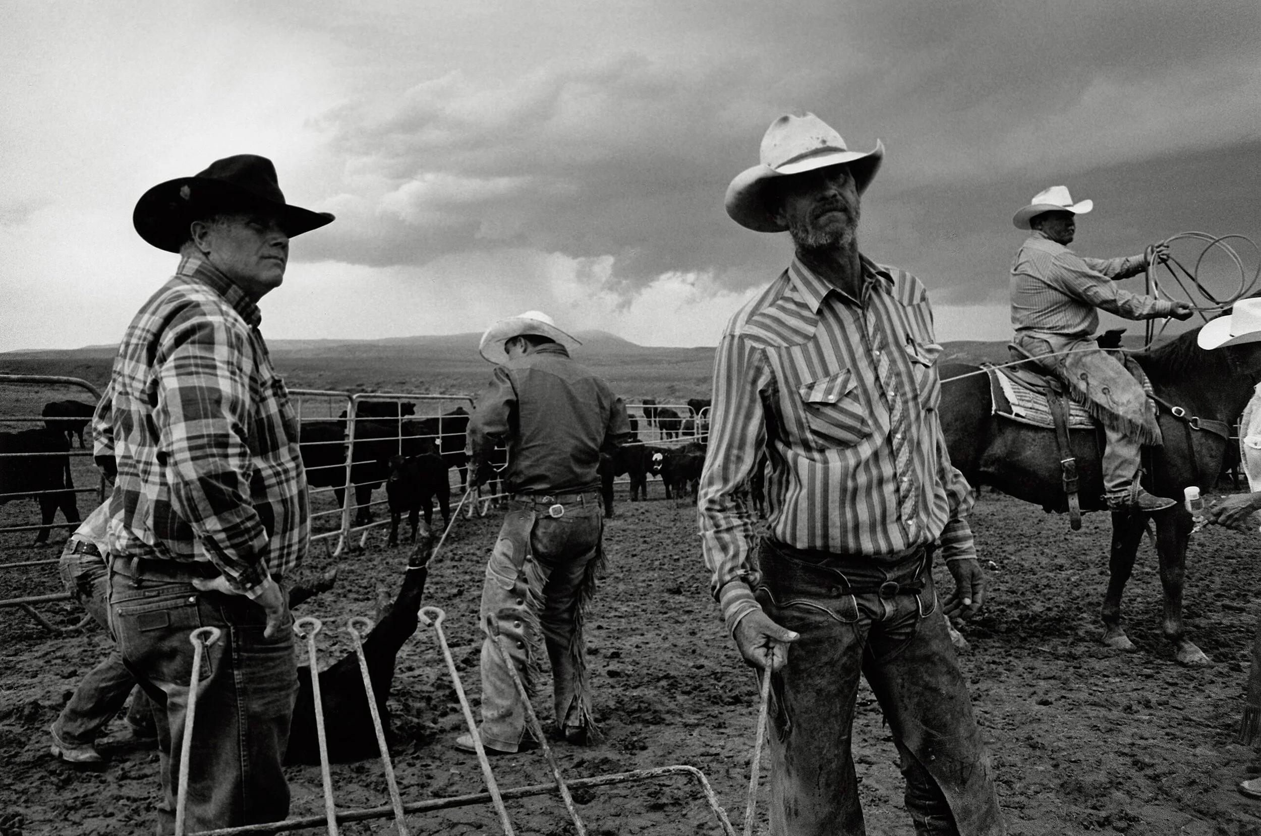 The cover photo to John Langmore’s Open Range. Taken at the S ranch in Pryor Montana in 2013.