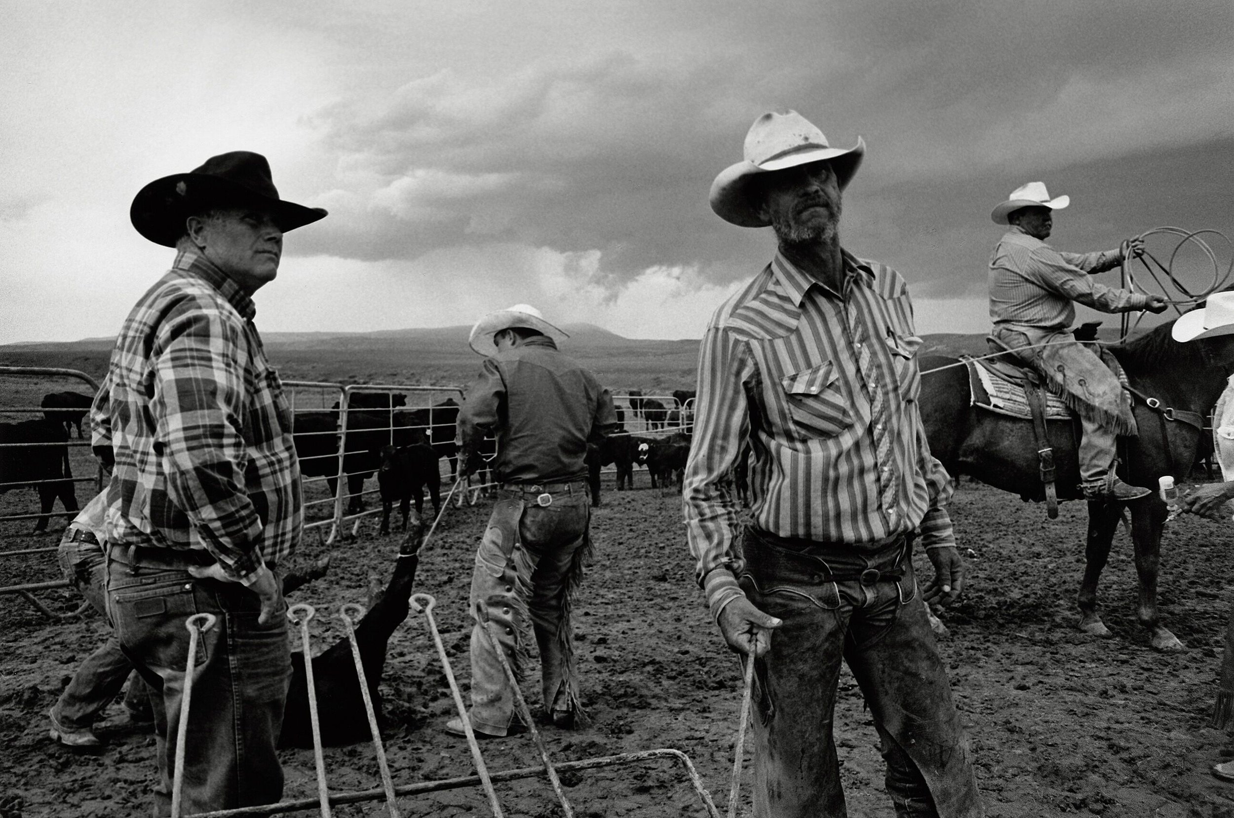 The cover photo to John Langmore’s Open Range. Taken at the S ranch in Pryor Montana in 2013.