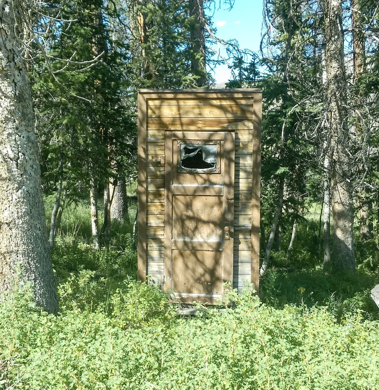 Out house.jpg