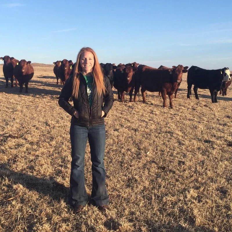 Beef Packers Need to be Held Accountable