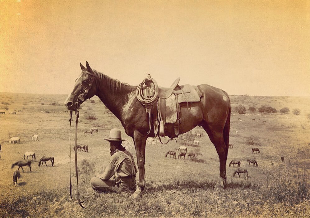 &ldquo;It was a vaquero&rsquo;s country and other men&rsquo;s troubles were alien to it and that was about all that could be said.&rdquo;
-Cormac McCarthy
Cities of the Plain