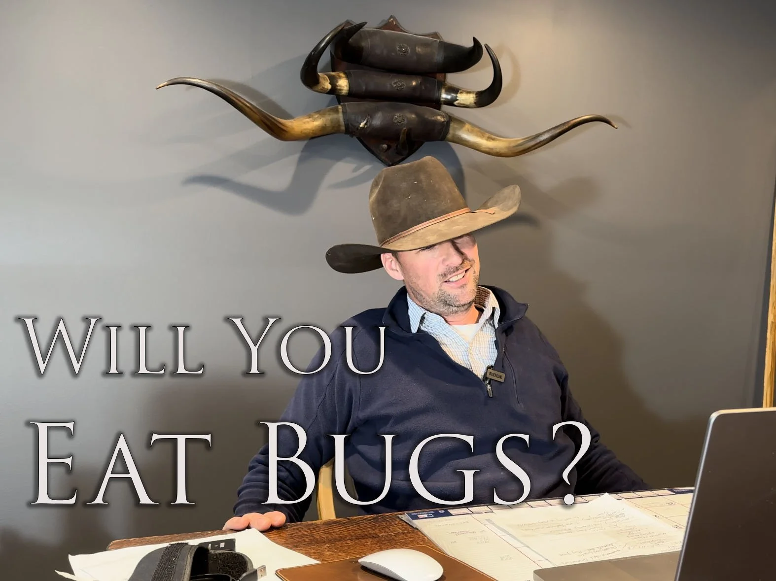 U.S. Largest Beef Packer Invests in Insect Ingredients