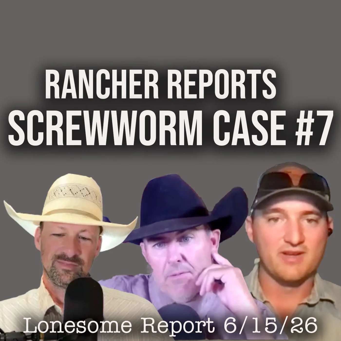 Texas Rancher Talks About Reporting Screwworm in Cattle  - Lonesome Report - 6/15/26