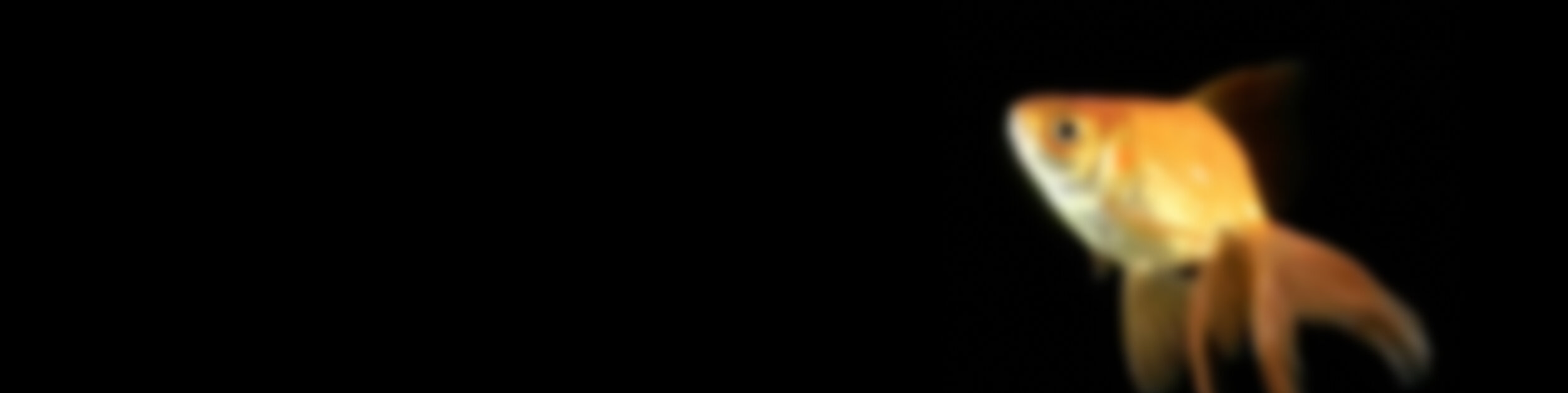 Background_small (1).jpg