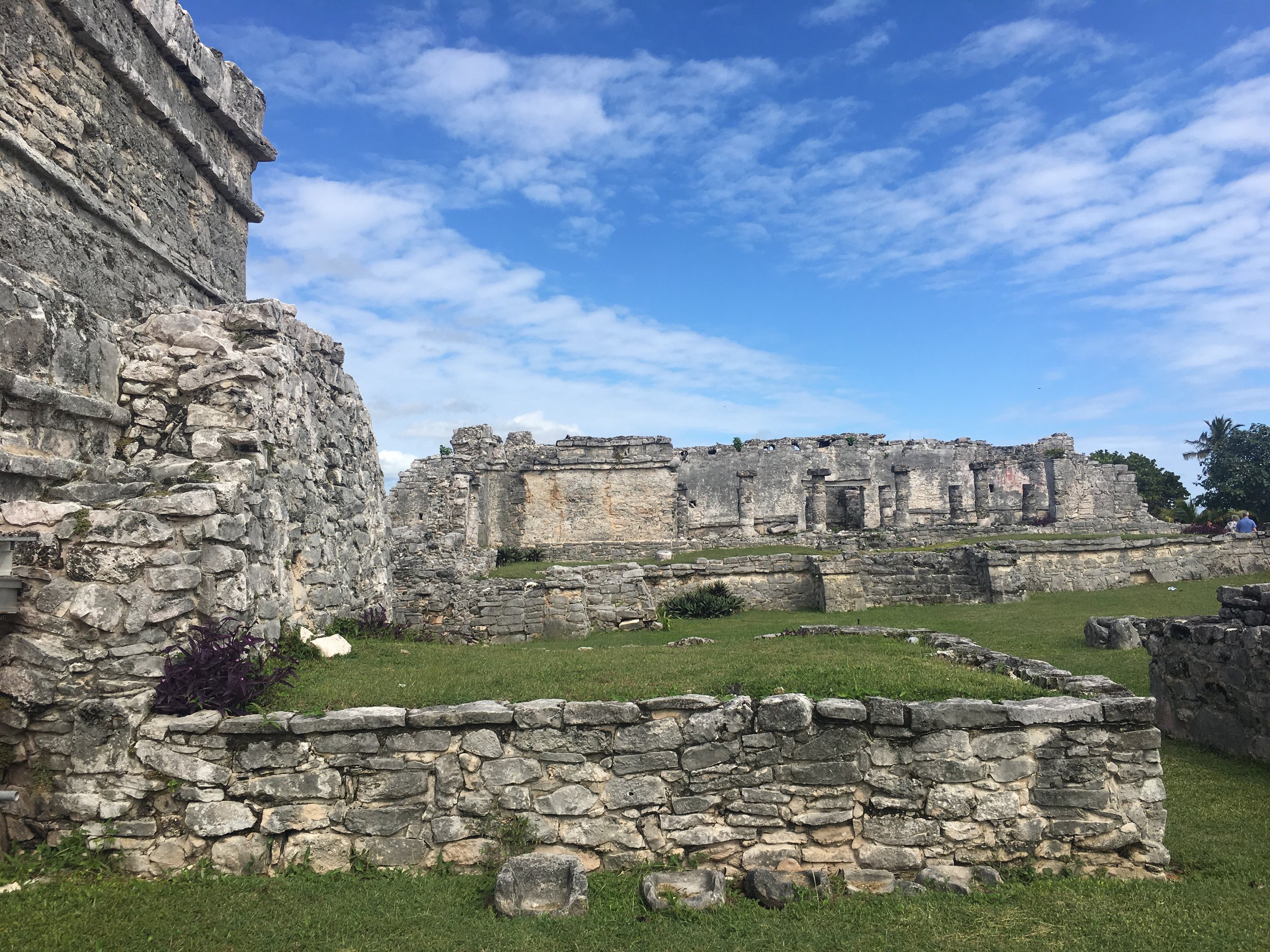 IMG_4802.jpeg