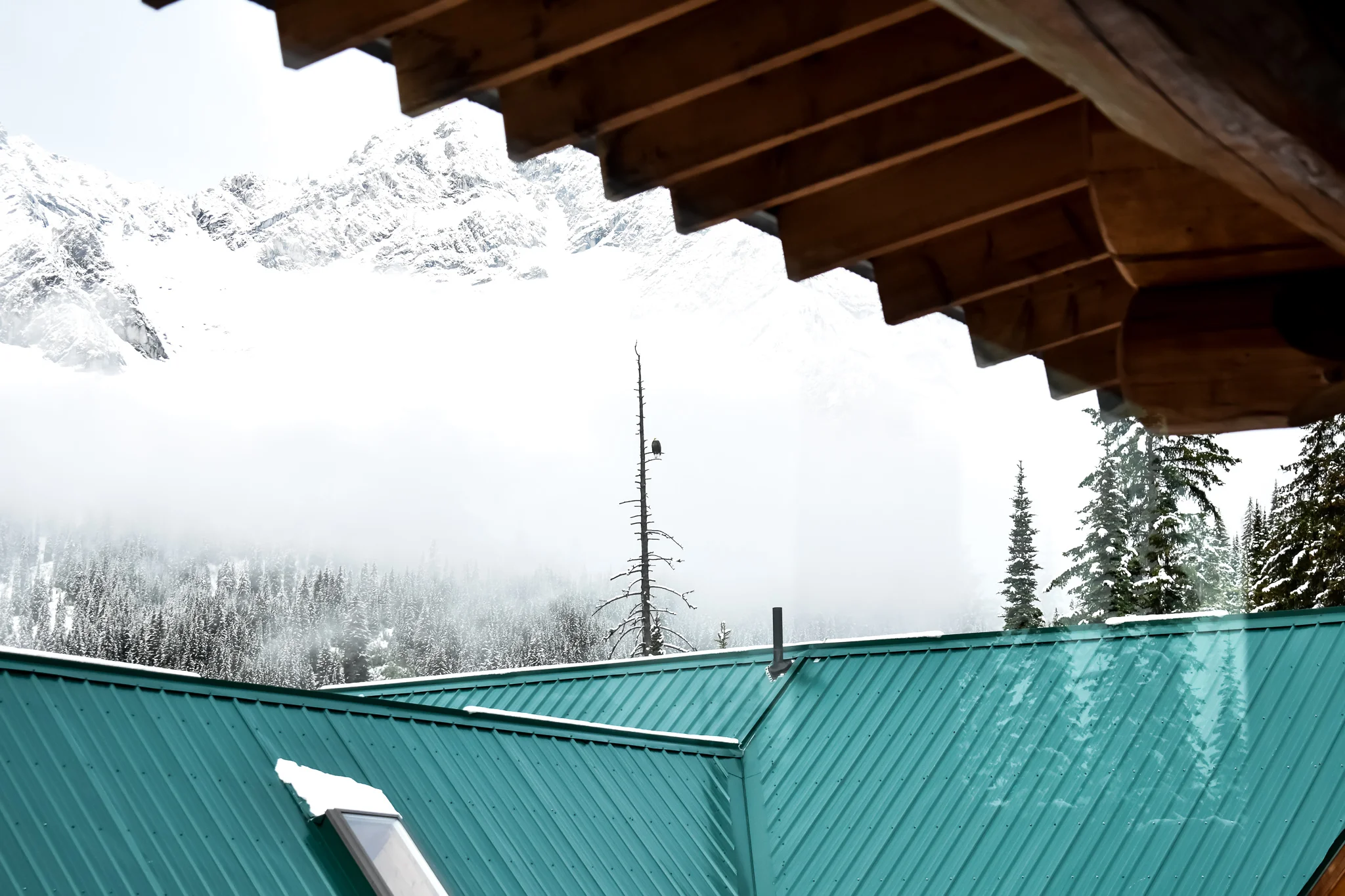 DSC_0406-2.jpg
