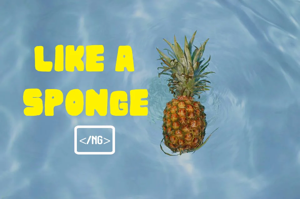LIKEASPONGE.jpg