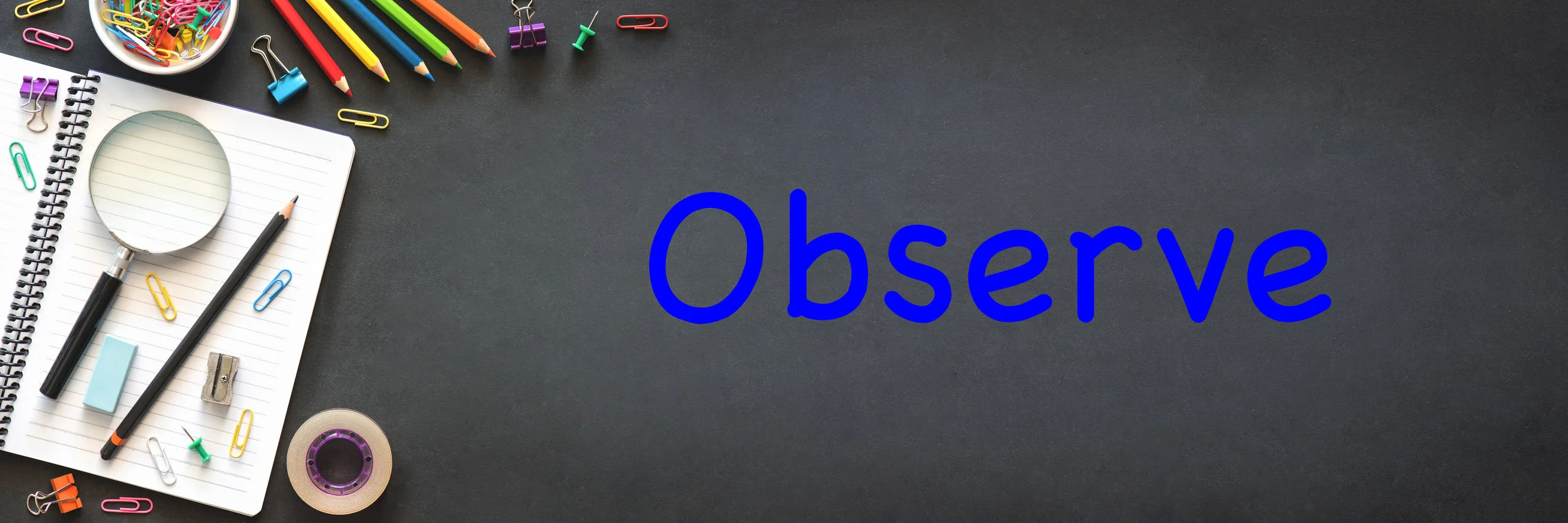 Learn and Observe background.jpg